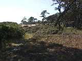 Click to see v_dunes1.jpg